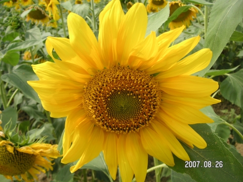 s_PICT0060.jpg